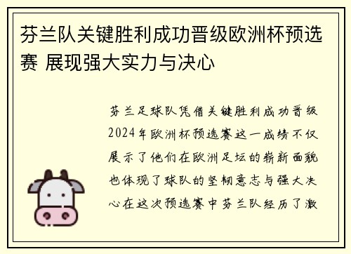 芬兰队关键胜利成功晋级欧洲杯预选赛 展现强大实力与决心